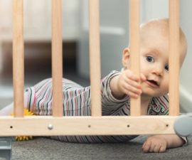 Best Baby Gates of 2022: Top 10 Reviews