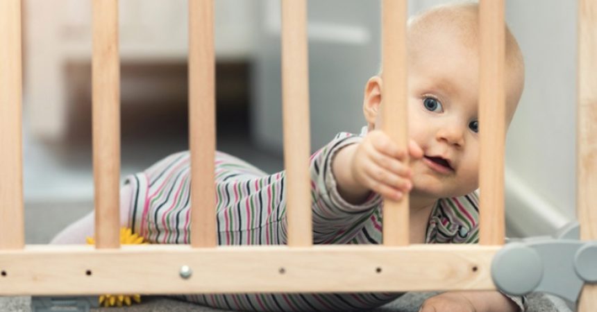 Best Baby Gates of 2024: Top 10 Reviews