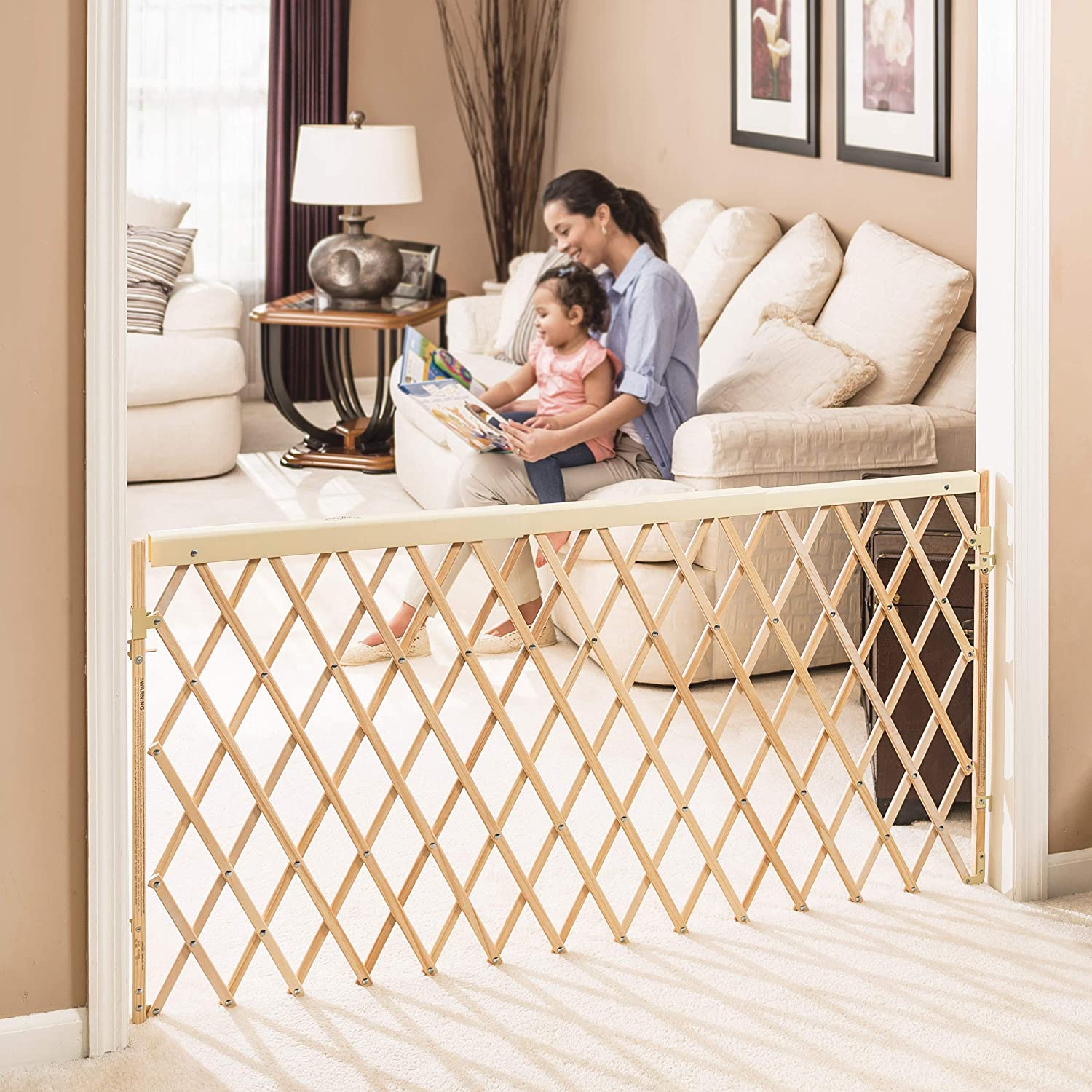 Evenflo Expansion Best baby gates