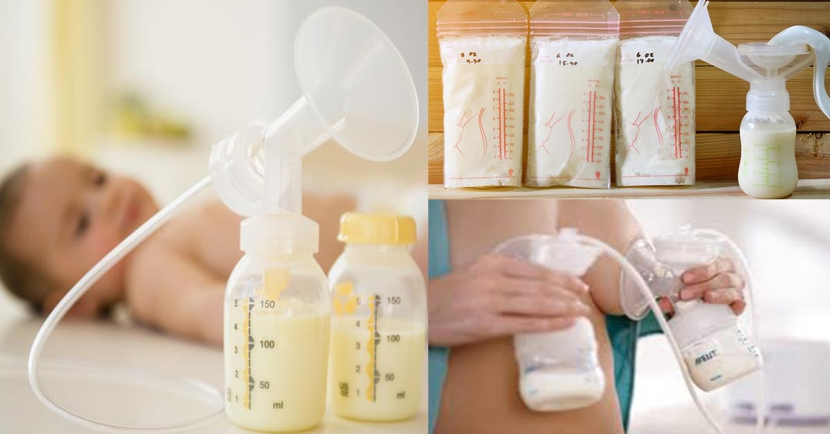 Best Breast Milk Storage Bags of 2023 Reviews Family Smart Guide