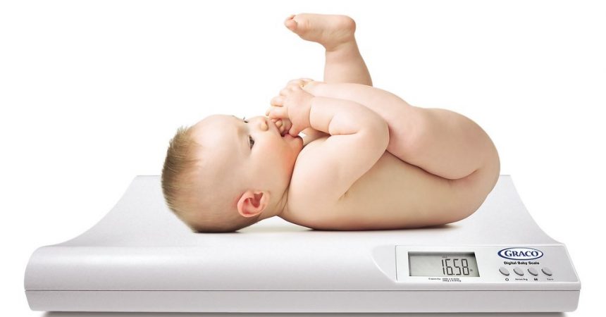 Best Baby Scales of 2022: Top 10 Reviews